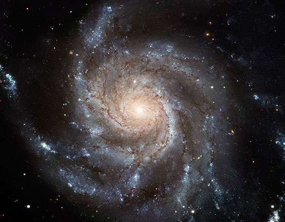 Pinwhell Galaxy